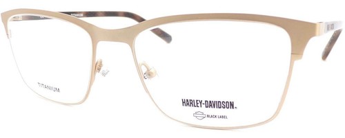 Harley davidson titane lecture - harley,