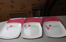 6 assiette melamine ideal