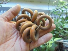 Lot de 12 : Anciens petits