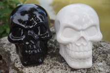 SK169    2 TETE  DE MORT CRANE