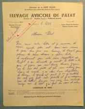 ● Aurillac 1954 Elevage avicole de Patay lettre à M. Pomel - avenue JB Veyre