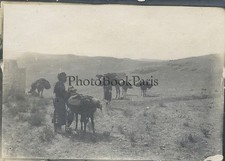 Palestine Israël Caravane