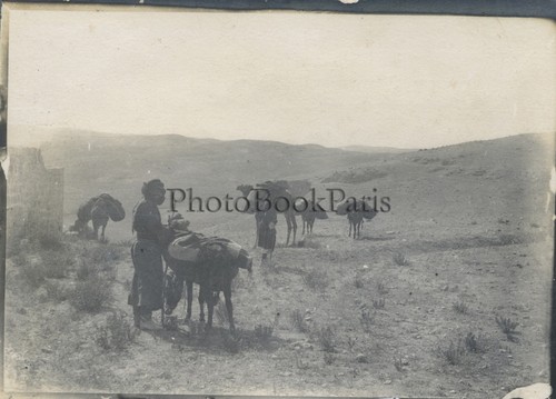 Palestine israël caravane - israël,