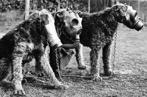 Ww2 masque à - -, gaz
