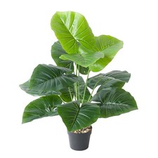 Fausse plante en pot plante