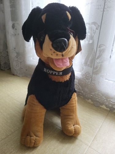 Grand chien animaux - cm,