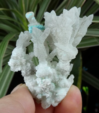 Rare Calcite & Aragonite bleu