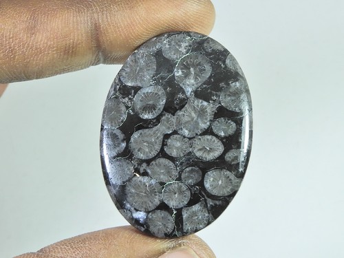 49cts cabochon ovale corail - ovale,