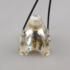 Projector Lamp Module for