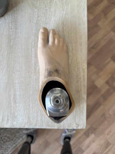Prosthetic right foot size - prosthetic,