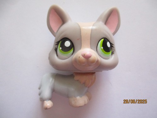 Petshop chien corgi - corgi, n°1486