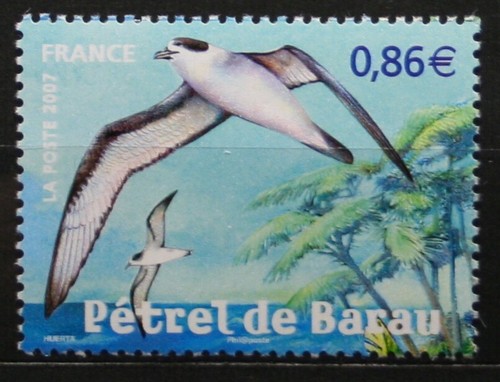 2007 france timbre - france, y