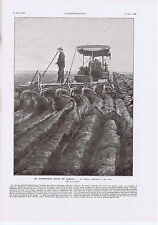 PUBLICITE ADVERTISING 054 1911 Formidable Engin de Labour Charrue à 8 socs