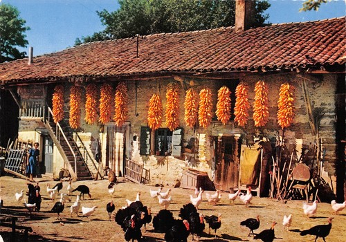 Ferme bressane - 01-ferme,