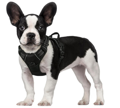 Harnais chien anti traction - harnais,