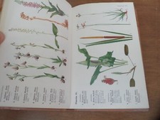 LES NOMS DES FLEURS Méthode simple par Gaston Bonnier 1963 PLANCHES BOTANIQUE