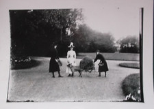 RETIRAGE PAPIER PHOTO ANCIENNE  VOITURE A CHIEN  D'APRES PLAQUE DE VERRE