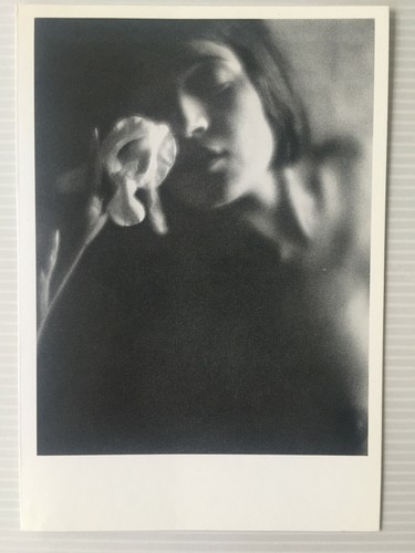 Carte postale edward weston - postale,