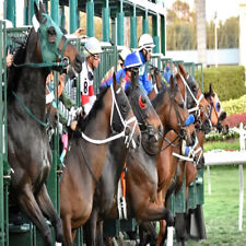 METHODE de TURF : LES