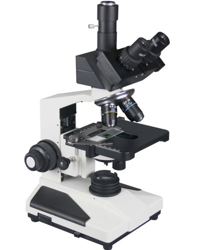 2000 microscope recherche - 2000, x
