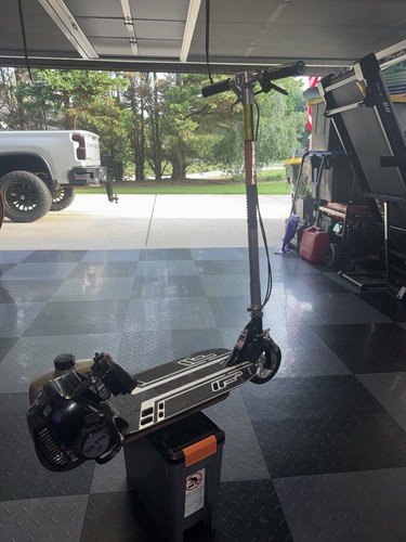 Rare ped geo - rare, geo-x-ped