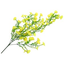 Plantes à suspendre