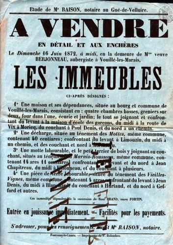 Vouille les marais vente - (85),