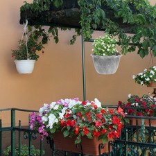  Porte-fleurs Mural Pot