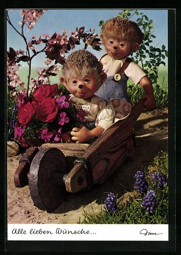 Carte postale mecki - postale, roule
