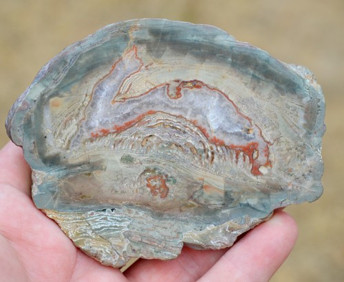 Agate quartz lithophyse - &,