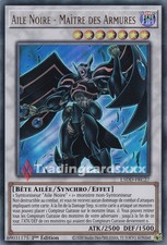 Yu-Gi-Oh! Aile Noire - Maître