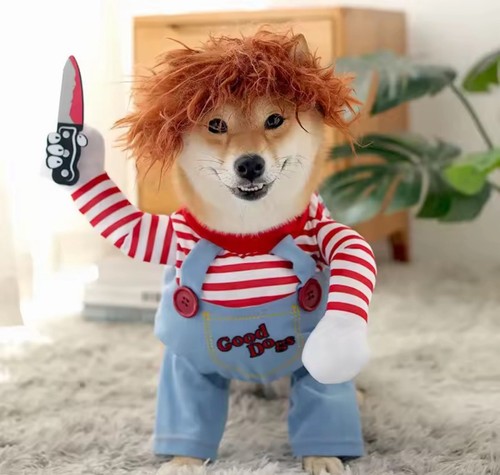 Déguisement horreur chien - déguisement,