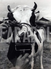 Photo De Presse Vintage