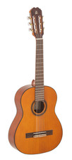 Admira Malaga Guitare De