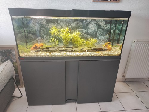 Aquarium avec meuble - aquarium,