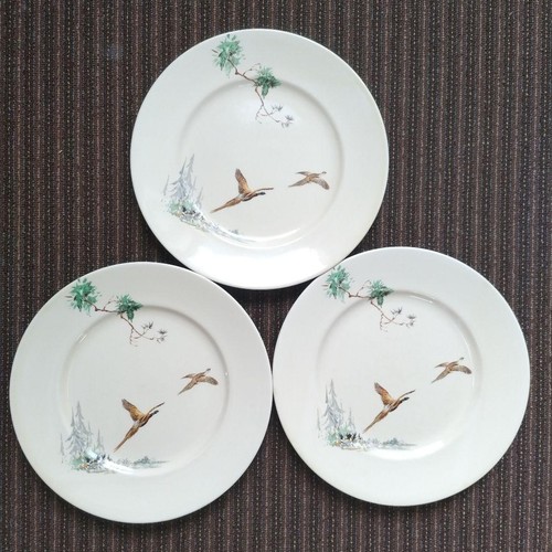Lot assiettes à dîner - à,