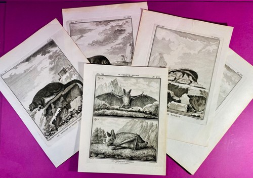 Lot gravures originales - lot,