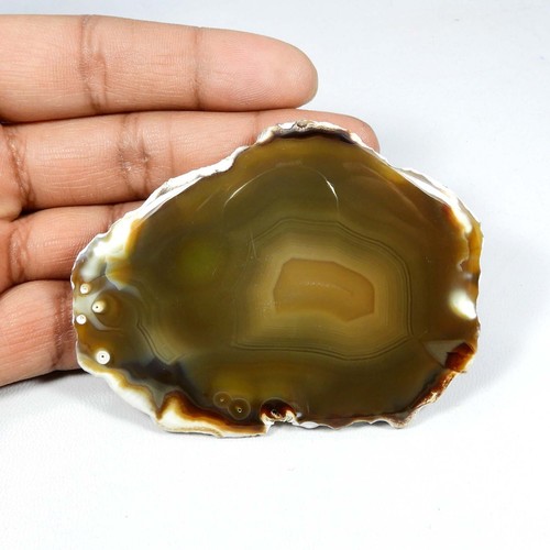 Agate tranchée brune - , cabochon