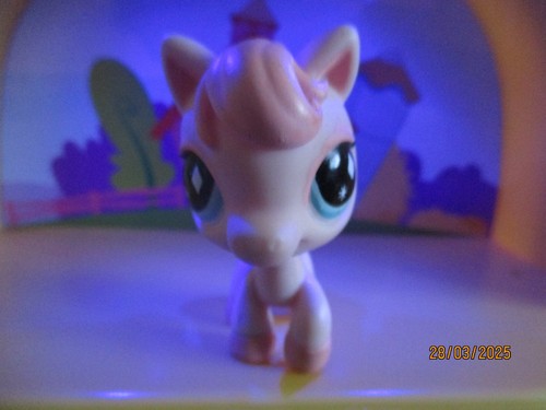 Petshop cheval 592 avec - #592,