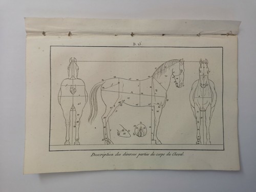 Planche gravure 1816 - de,