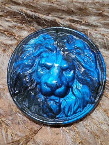 Spectaculaire tête lion - spectaculaire,