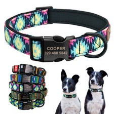 Collier de chien en nylon