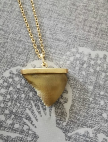 Dent requin pendentif - de,