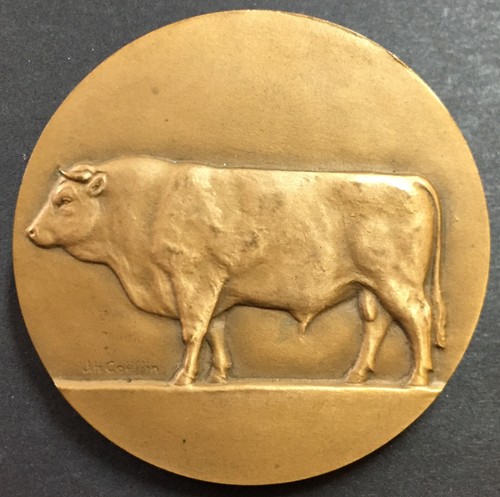 Médaille bronze - médaille, en