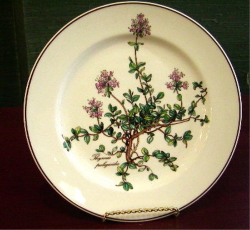Villeroy boch botanica - villeroy,