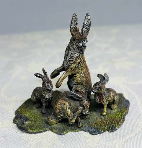 Hase hare lievre - hase,