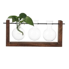 Jardinière en verre Terrarium avec support en bois, support bois, Station de