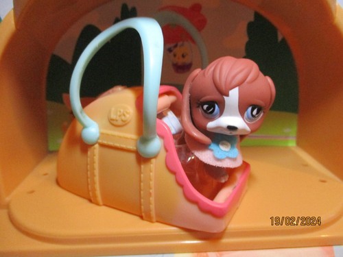 Petshop chien beagle - petshop,