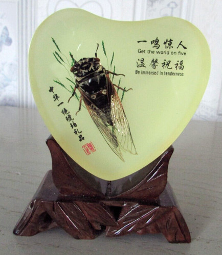 Insecte long sous - 6, cm
