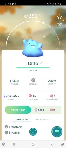 Ditto shiny metamorph - /,